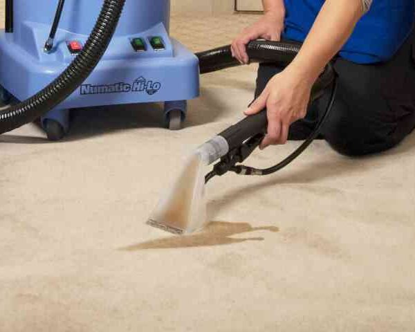 Carpet Cleaning