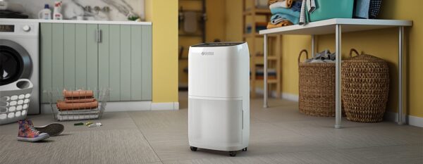 Olimpia Splendid Aquaria 18P Dehumidifier