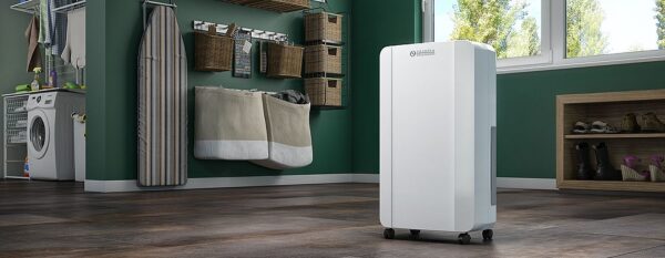 Olimpia Splendid Aquaria Slim 14P Dehumidifier